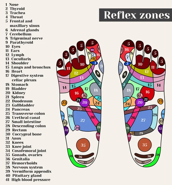 Puntos de acupuntura en los pies. Las zonas de reflejo en los pies. Acupuntura . — Archivo Imágenes Vectoriales