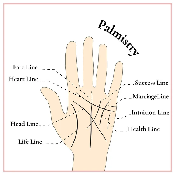 Palmistry. Adivinando en la mano. Las líneas en la mano . — Archivo Imágenes Vectoriales