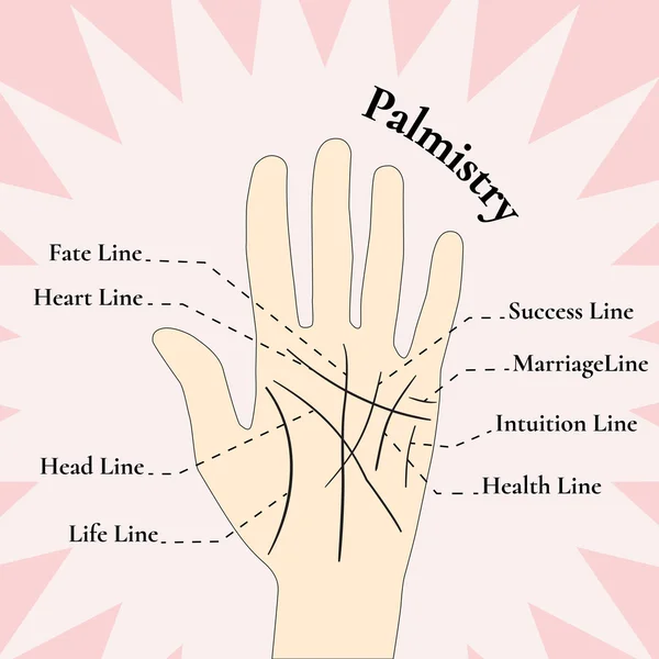 Palmistry. Adivinando en la mano. Las líneas en la mano . — Archivo Imágenes Vectoriales