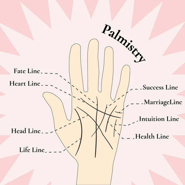 Пальмистри. Угадывание на руке. Линии на руке . — стоковый вектор