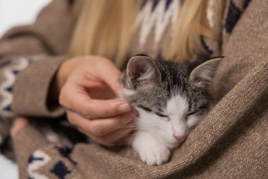Sıcak bir kazak giymiş bir insanın kollarına yerleşmiş evcil bir kedi, sıcak bir ev ortamında paylaşılan sevgi ve rahatlığı vurguluyor.
