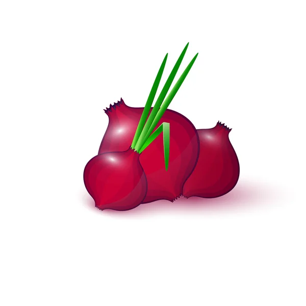 Red onion with fresh green sprout, isolated on white background