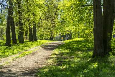 Çok fazla insan yıllık Festivali aldı 