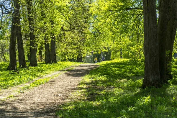 Çok fazla insan yıllık Festivali aldı 