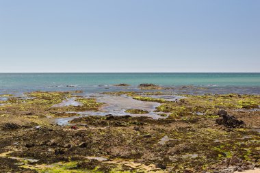 kumsalları, kıyı şeridi ve ormanlar Noirmoutier Adası