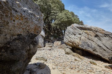 kumsalları, kıyı şeridi ve ormanlar Noirmoutier Adası