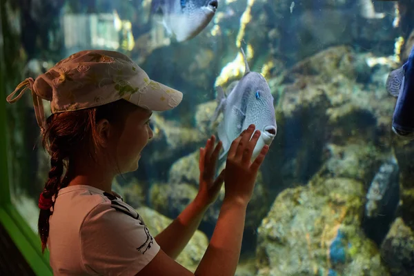ノワールムーティエ = アン = リル シーランド水族館で魚を見て女の子 ストック画像