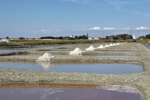 ノワールムーティエの島の塩の生産 ストック画像