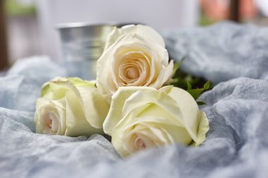 Bir buket beyaz gül.