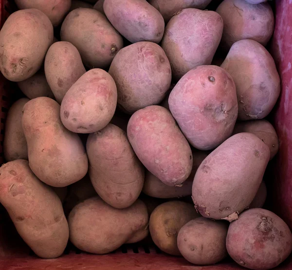 바구니에 신선한 감자 — 스톡 사진