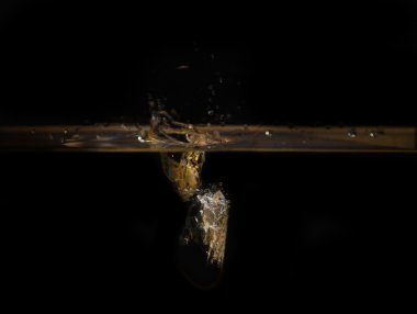 Mavi üzüm suya düştü