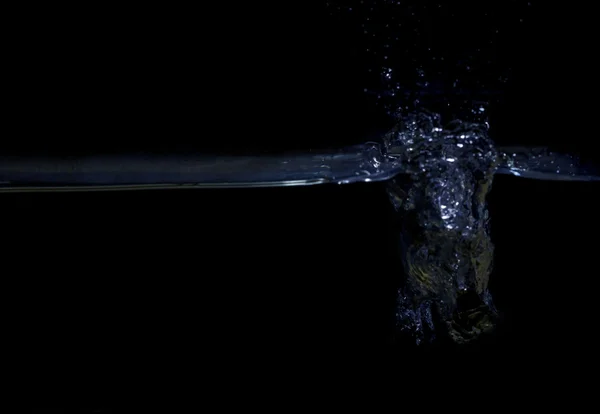 Raisin bleu tombé dans l'eau — Photo