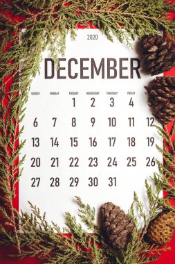 Aralık 2020 Aylık Takvim