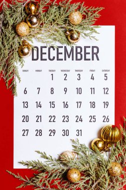 Aralık 2020 Aylık Takvim