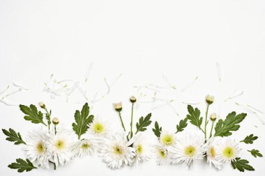 Beyaz üzerine parlak bahar çiçekleri