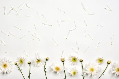 Beyaz üzerine parlak bahar çiçekleri