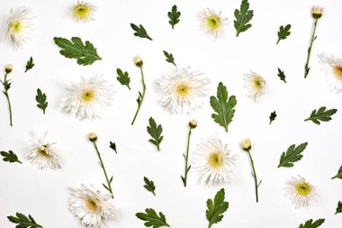 Beyaz üzerine parlak bahar çiçekleri