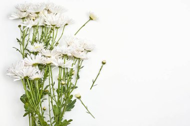 Beyaz üzerine parlak bahar çiçekleri