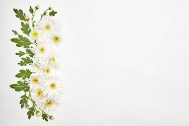 Beyaz üzerine parlak bahar çiçekleri