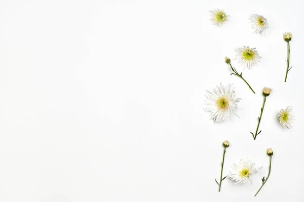 Bright spring flowers on white — Stok Foto