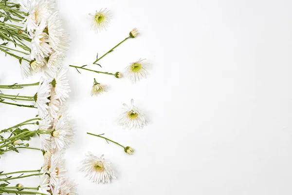 Bright spring flowers on white — Stok Foto