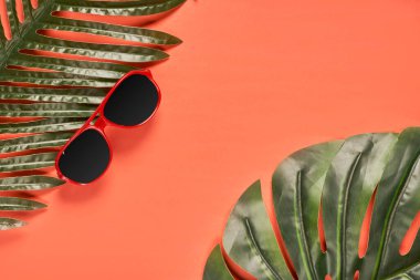 Palmiye yaprakları ve parlak güneş gözlükleri