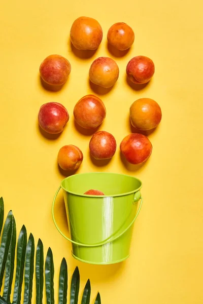 Group of peaches in a bucket and a leaf — Stok Foto