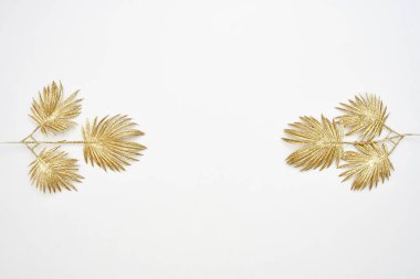 Dekoratif altın sonbahar yaprakları