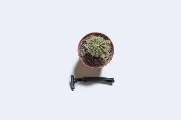 Kaktusová rostlina a jednorázová žiletka — Stock fotografie