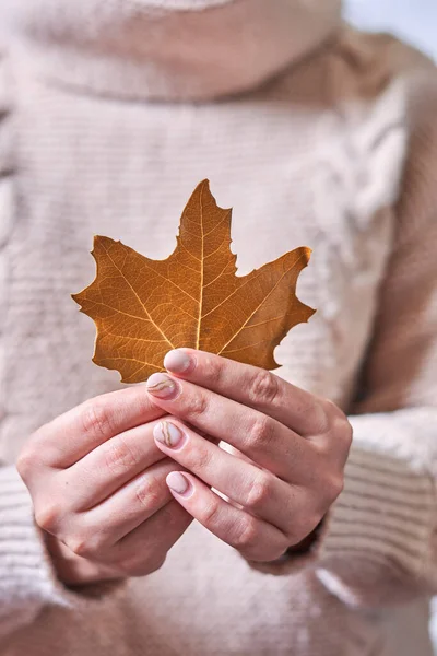 Woman holds in hand a fall leaf