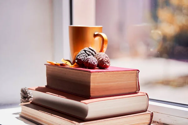 Bright autumn background with books and coffee mug — Stock Photo, Image