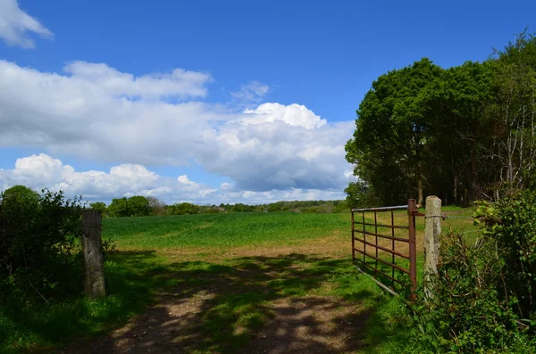 Open farm gate in the British countryside — Stock Photo, Image