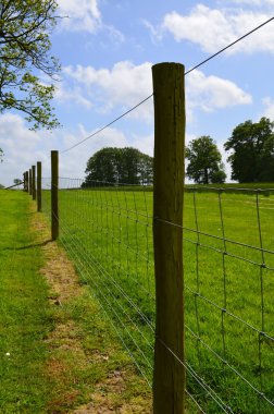 Tel çit boyunca Sussex kırsal bir alanda yatılı.