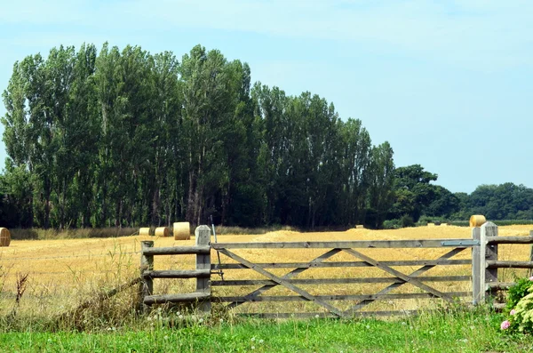 Farm gate to a hay field. — Stock Photo, Image