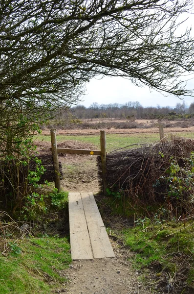 Public footpath in Ashdown Forest. — Stock Photo, Image