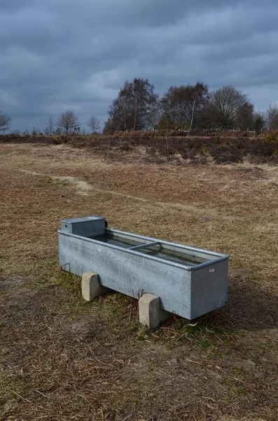 Boskap vatten tråg. — Stockfoto