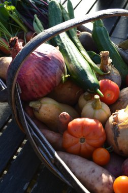 Sussex trug Bahçe sebze.