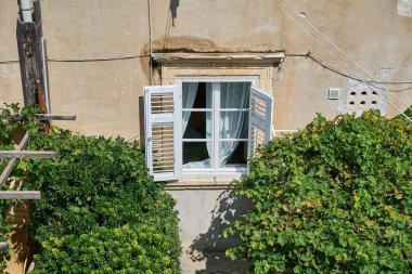 Beyaz panjurlu ve yeşil yapraklı kırsal pencere.