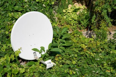 Beyaz bir uydu anteni doğa tarafından neredeyse tamamen yeşil tırmanma sarmaşıklarıyla kaplanmış olarak geri alınıyor. Eskimiş teknolojinin ya da doğanın esnekliğinin sembolü..