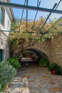 Parlak ve güneşli bir yaz gününde kırsal bir Yunan köyünde gölgeli bir tünel açan çiçeklerle kaplı yeşil bir pergola tarafından kaplanmış güzel taş patika.