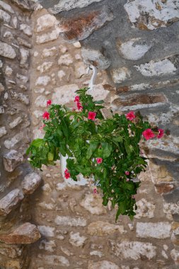 Açık hava çiçek süslemelerinde parlak mor menekşe çiçekleri asılı bir saksının içinde güneşli bir günde geleneksel bir taş kemerin altında yetişiyor..