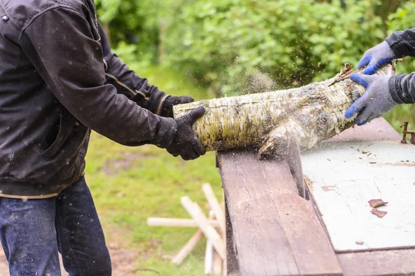 Erkekler huş yakacak odun kış sezonu için hazırlanıyor