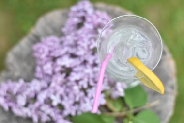 Yaz sezonu için soğuk sağlıklı içecek