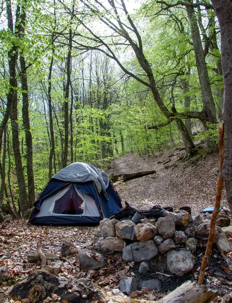 在春季森林旅游帐篷 图库图片