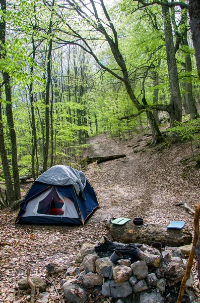 Tenda turis di hutan pada musim semi Stok Gambar Bebas Royalti