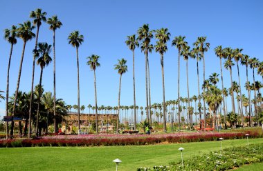 Türkiye, Mayıs 2016. Fuarı Expo 2016