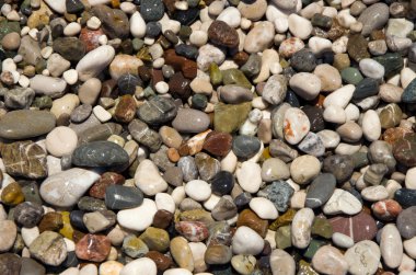 Deniz taşları suda