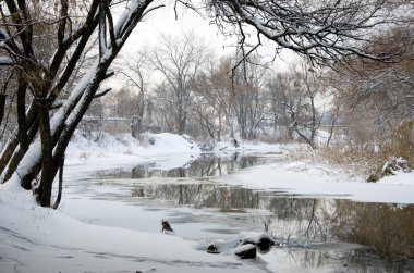 Donmuş nehirli kış manzarası
