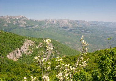 Manzaralı bahar dağ Kırım