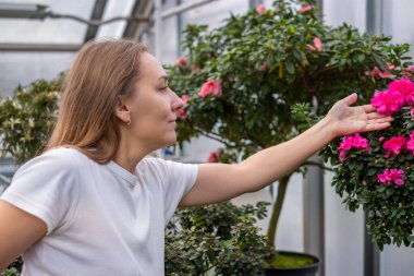 Kadın meraklısı, yeşilliklerle çevrili bir serada çiçek açan pembe çiçeklerle etkileşerek doğanın güzelliğini ve bitkileri beslemenin neşesini vurguluyor.
